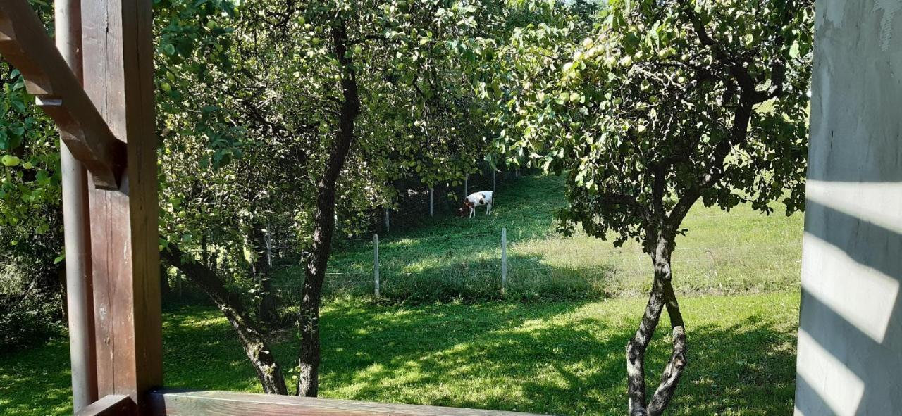 Agroturystyka Nad Czarnym Giby Exterior foto
